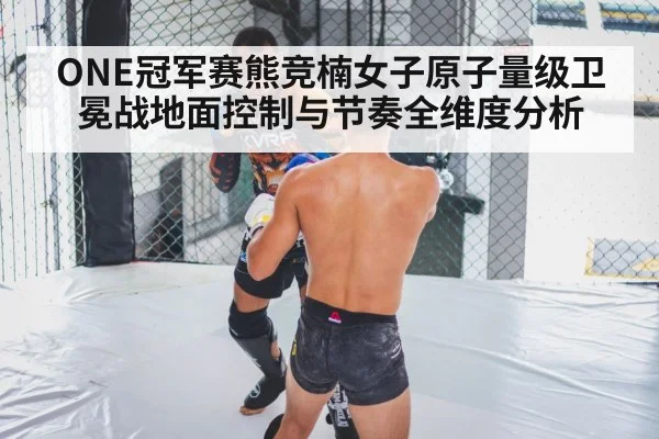 MMA cage fight