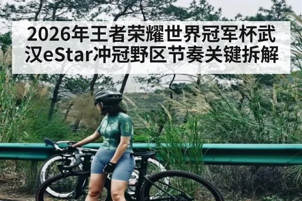 2026年王者荣耀世界冠军杯武汉eStar冲冠野区节奏关键拆解 - kaiyun